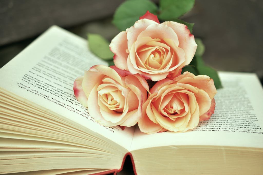 Three Pink Rose Flowers on Opened Book